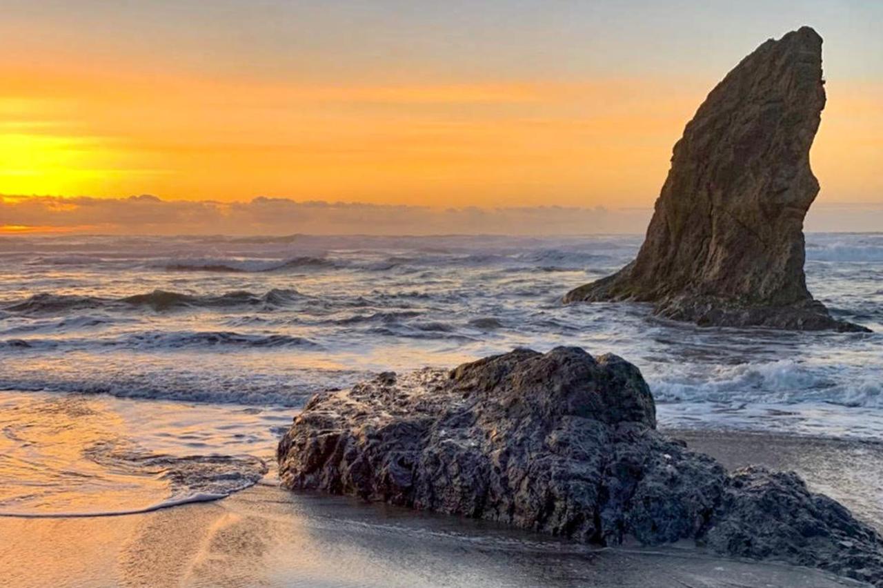 Sand Dollar Shore Fort Bragg Zewnętrze zdjęcie